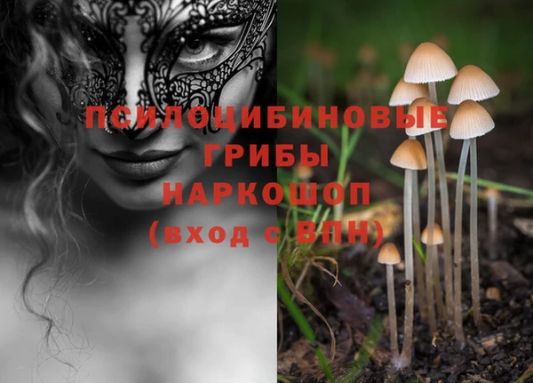 кокс Бородино