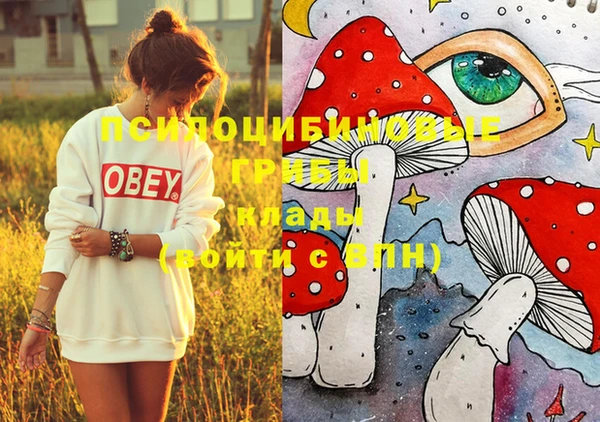 кокс Бородино