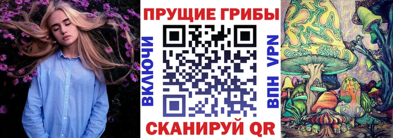 купить наркотики сайты  Югорск  Галлюциногенные грибы Magic Shrooms 